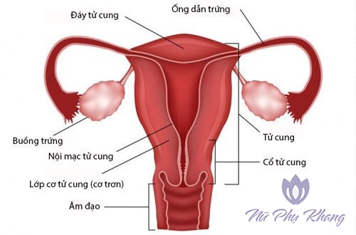 3 điều quan trọng về viêm ống dẫn trứng chị em nào cũng cần biết